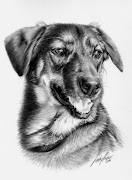 Dibujos de Perros Perros Dibujados con Carboncillo y Grafito dibujos perros pintados con grafito carboncillo 