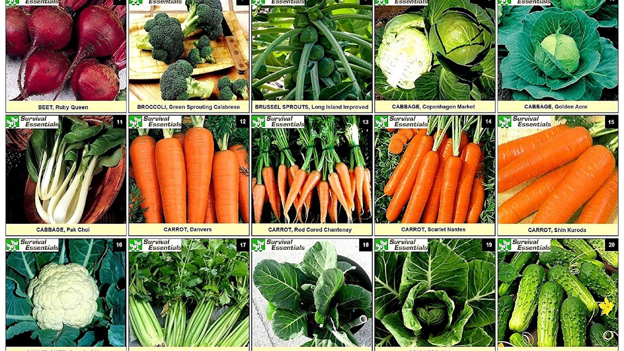 Non Gmo Fruits And Vegetables Vege Choices