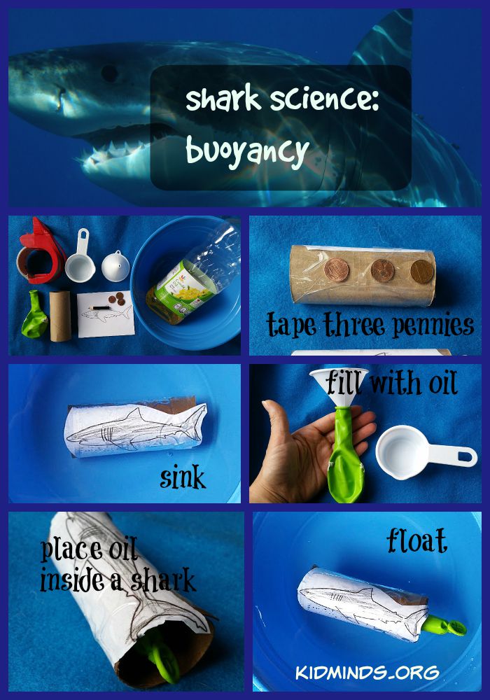 The Best of Shark Science Discover Buoyancy KidMinds