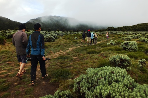 gunung papandayan garut