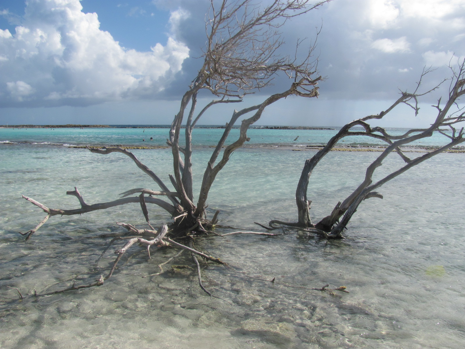 Mr. & Mrs. Smith Mi Dushi Tera Aruba, Part 1