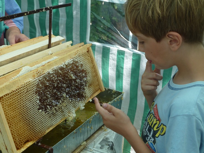 Kaufland Startet Bundesweit Umweltaktionstage Fur Kinder