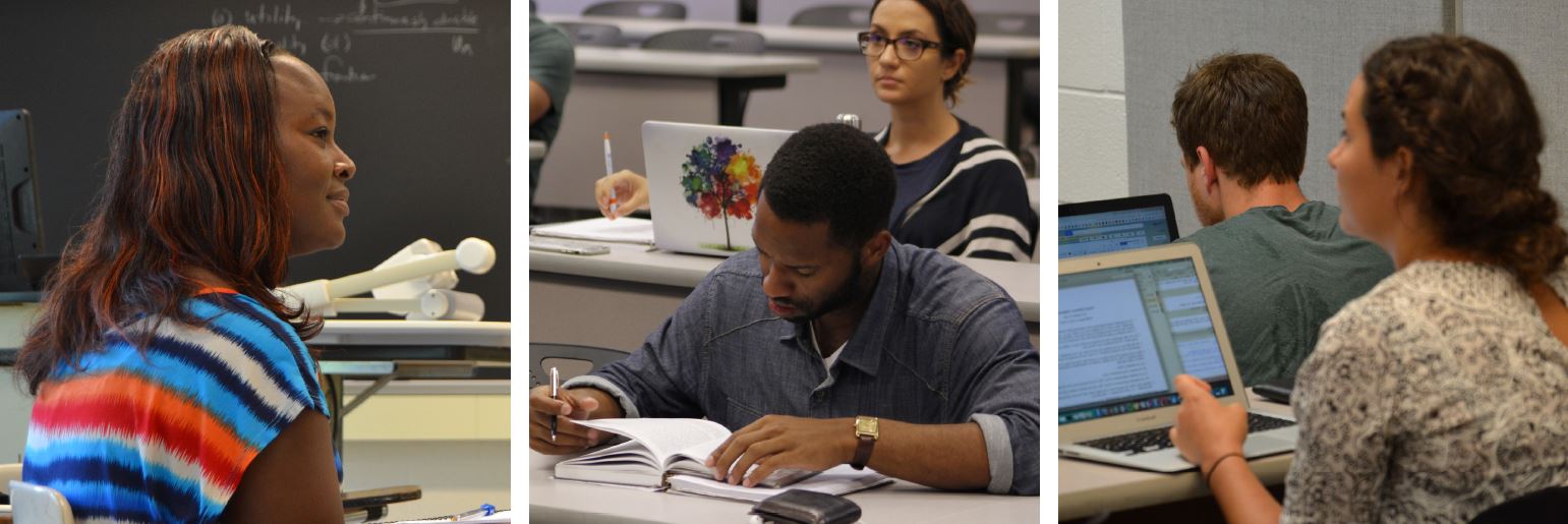 ICPSR Summer Program