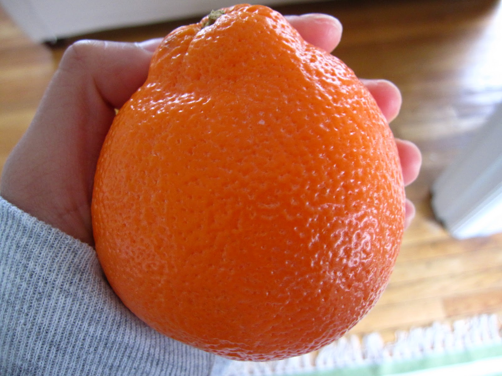 Апельсин грейпфрут как называется. Минеола цитрус. Танжело Минеола. Сорт мандарин Минеола. Гибрид мандарина и апельсина Минеола.