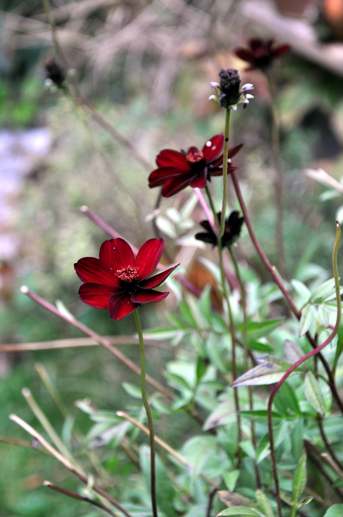 hundertachtziggrad°: Herbst trifft Sommer...
