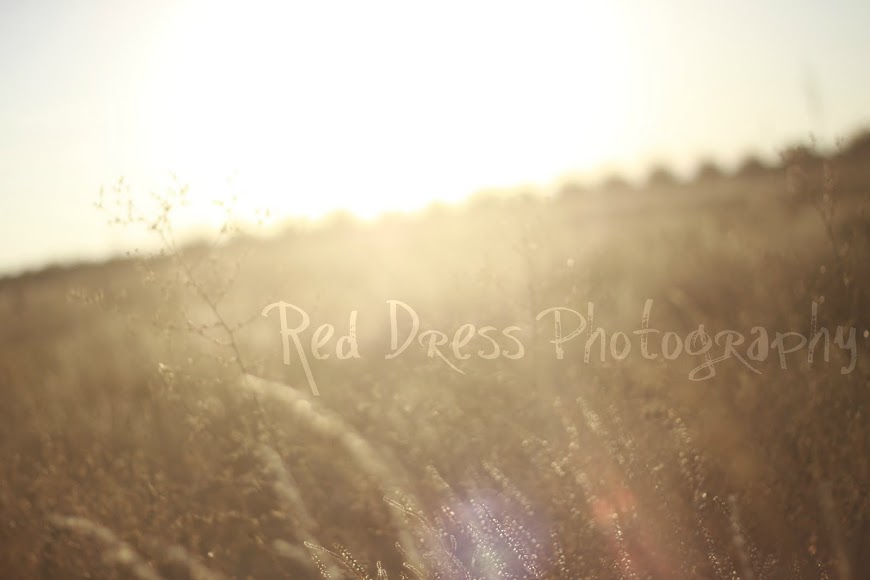 Red Dress Photography