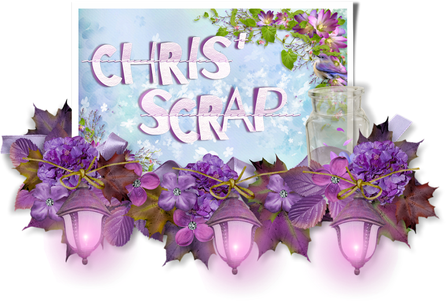 Chris Scrap'