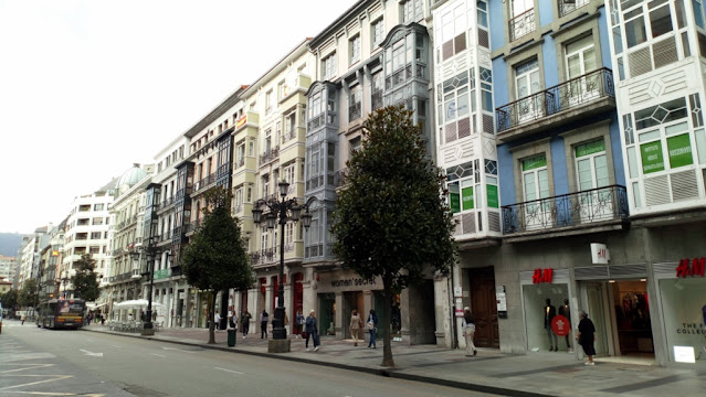 Alineación de magnolios en las calles de Oviedo.