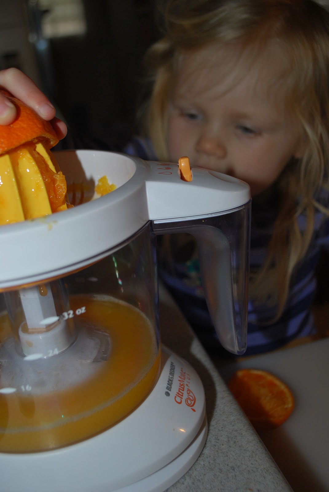 Artzy Creations Homemade Orange Juice