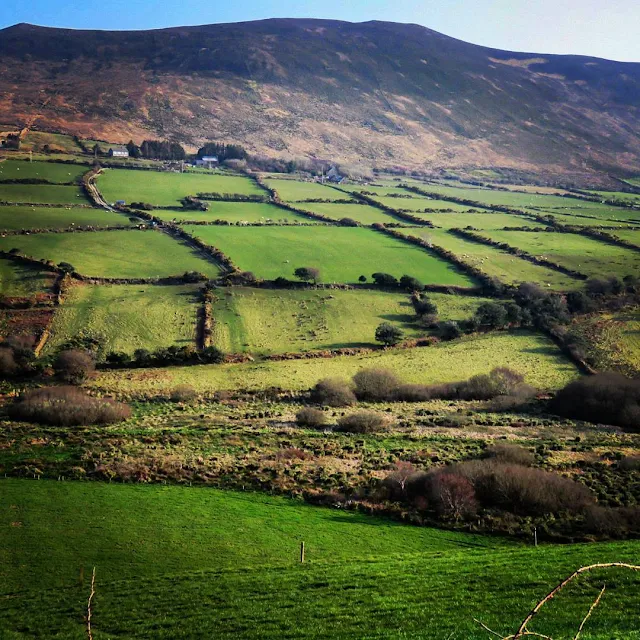 Dublin to Dingle road trip - green fields