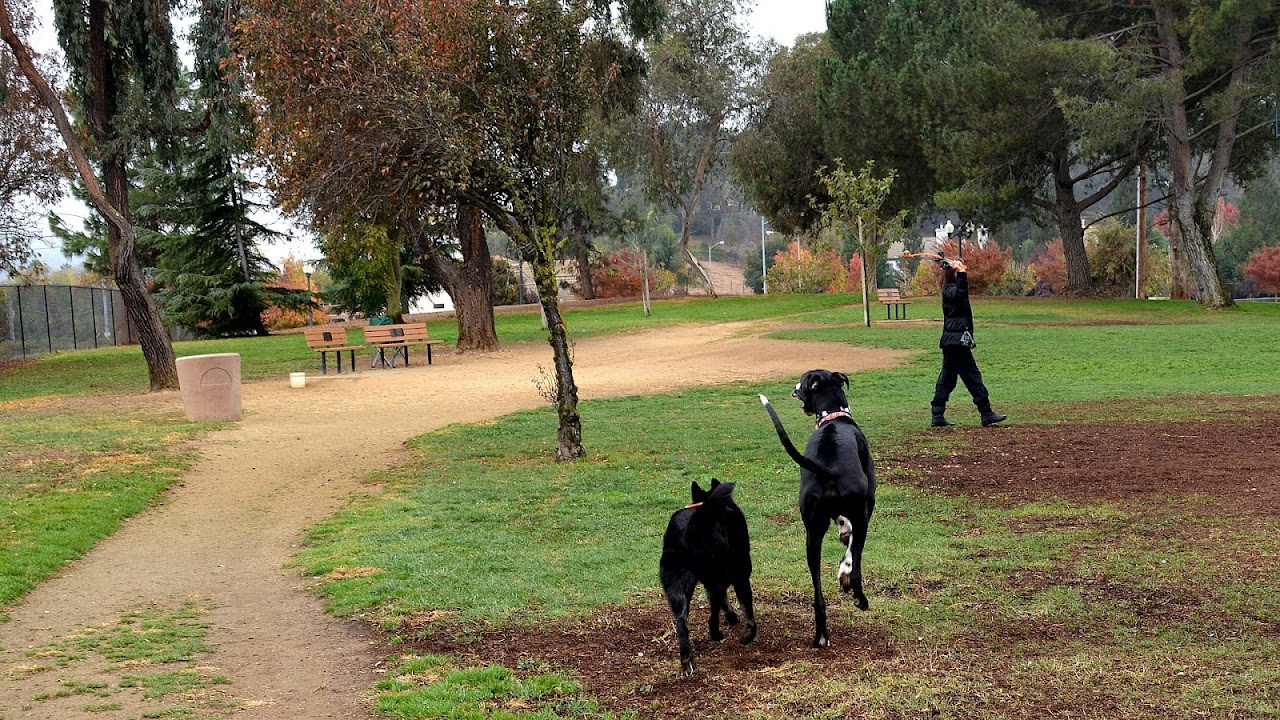 Hill Dog Park Trip to Park