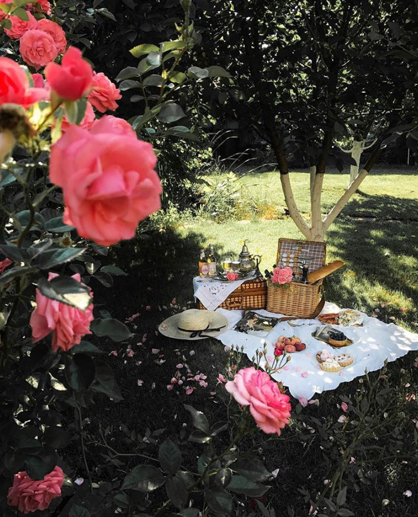 From Instagram | Summertime Inspiration: The Most Beautiful Picnics