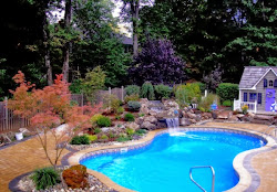 pool modern swimming simple exclusive