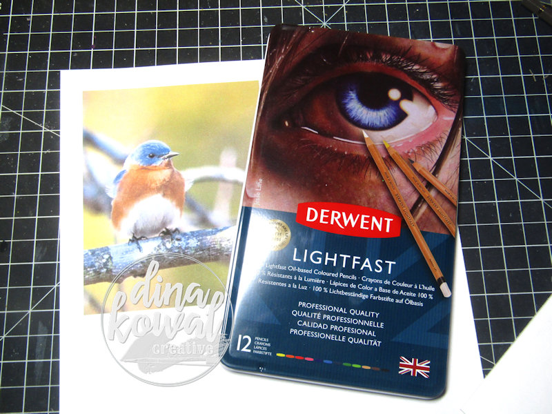 Derwent lightfast colored pencil review 