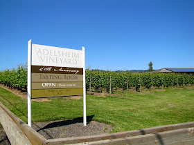 adelsheim winery
