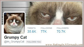 Grumpy Cat twitter follow | www.BakingInATornado.com
