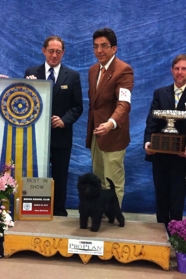 DOG SHOW POOP 20120415