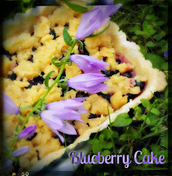 Blueberry Cake