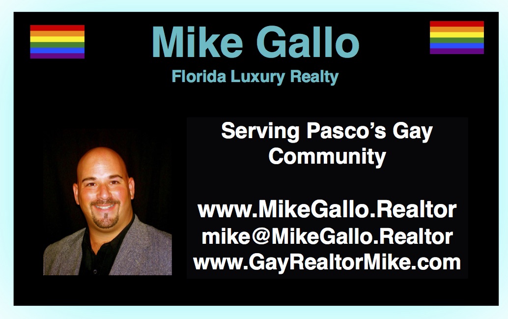 Gay Real Estate Florida Why is the New Port Richey Florida area So