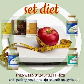 http://sweetnyer.blogspot.com/2014/04/set-diet-shaklee.html