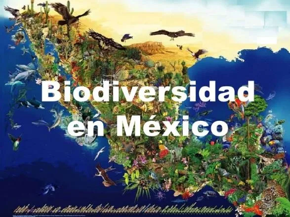 biodiversidad de mexico