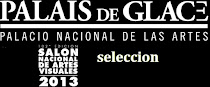 Seleccion Salòn Nacional 2013