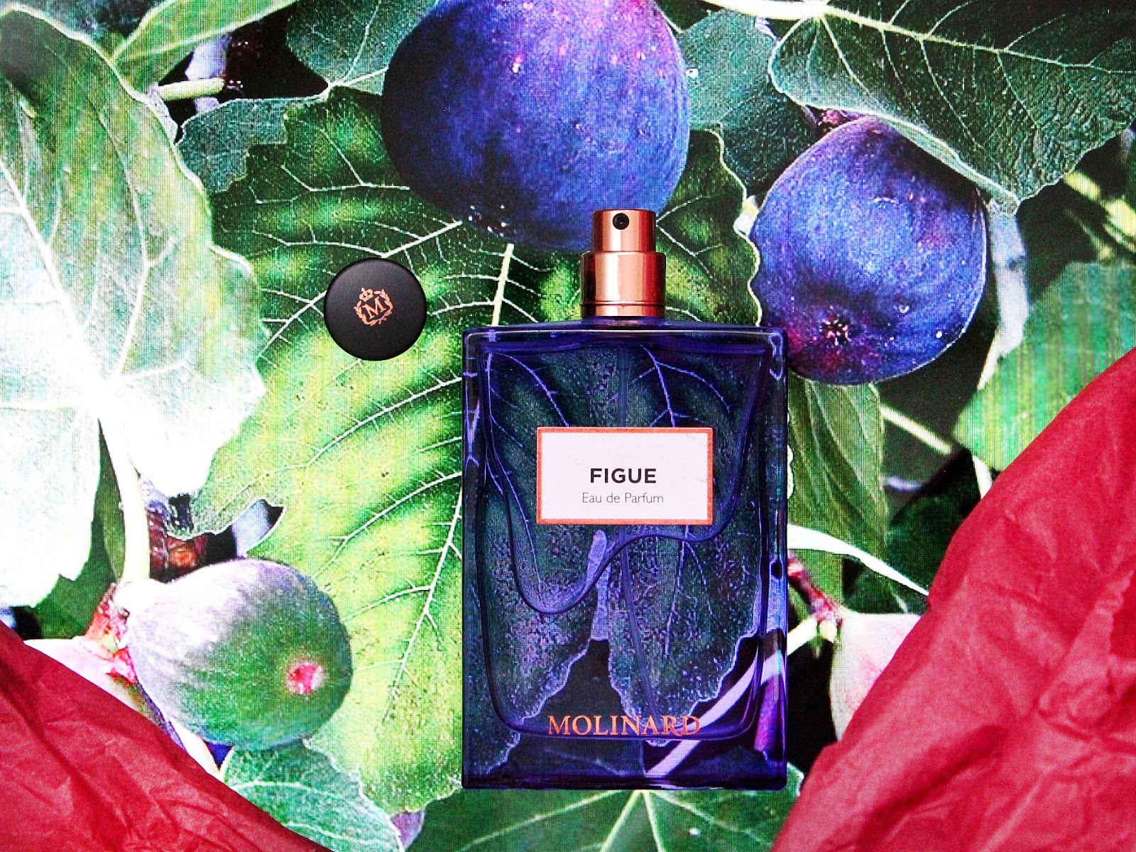 Molinard Figue eau de parfum