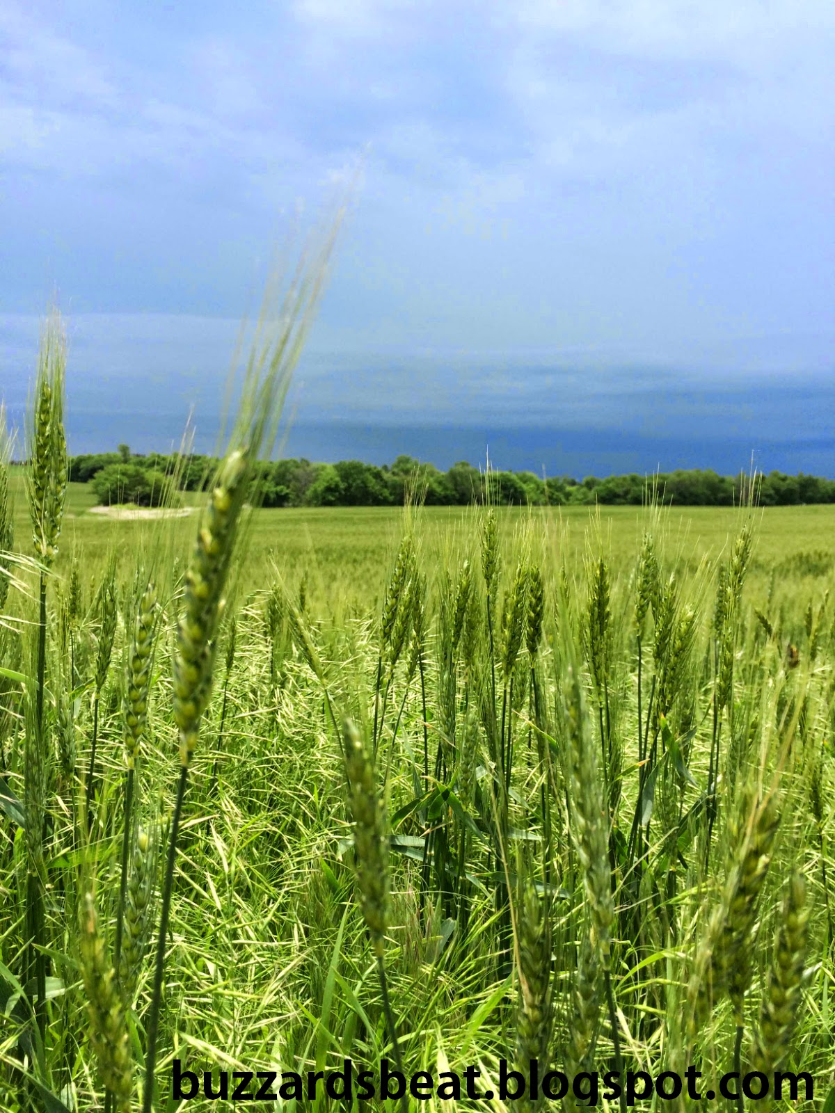 Food For Thought National Ag Day 2015 What Does Agriculture Mean to You?