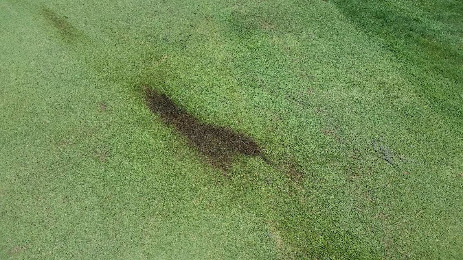 Kenmure Golf Maintenance Hydraulic Fluid Spill