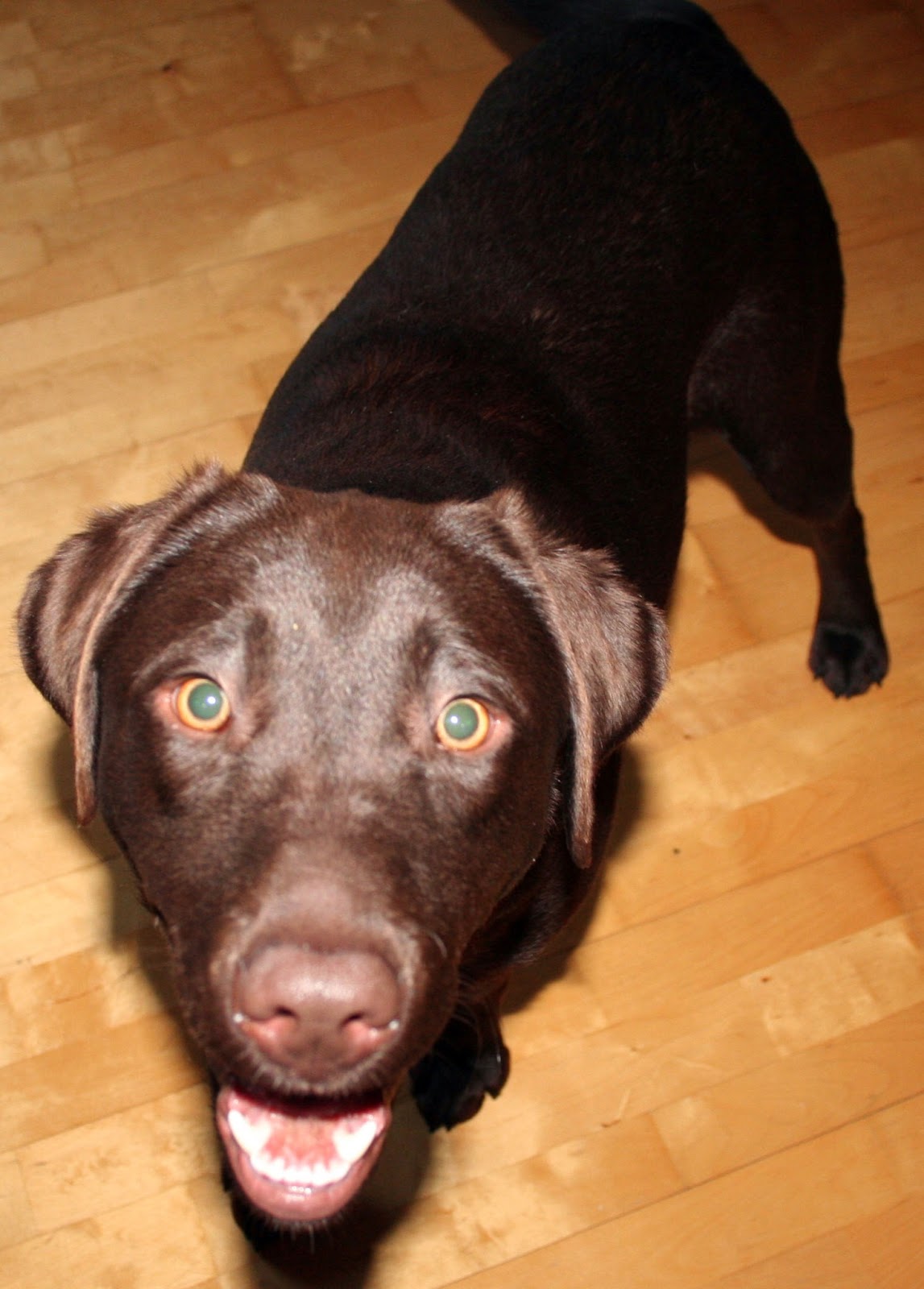 Hejda ist da! 1. Tag