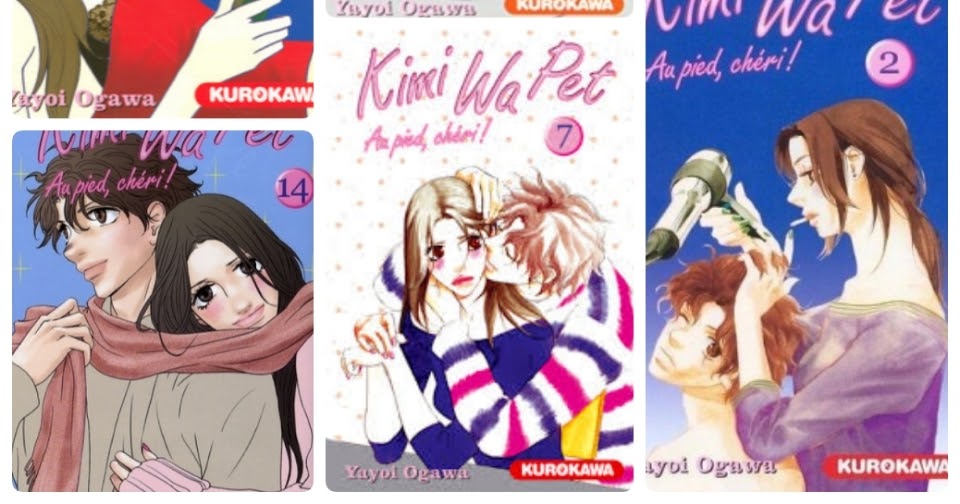 YesAgainOneMorePage: Kimi Wa Pet