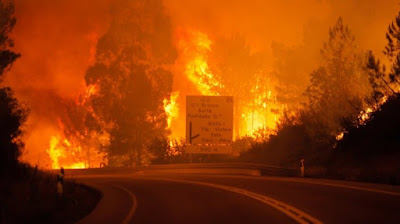 Kebakaran Mengakibatkan 1.000 Rumah Terbakar di California