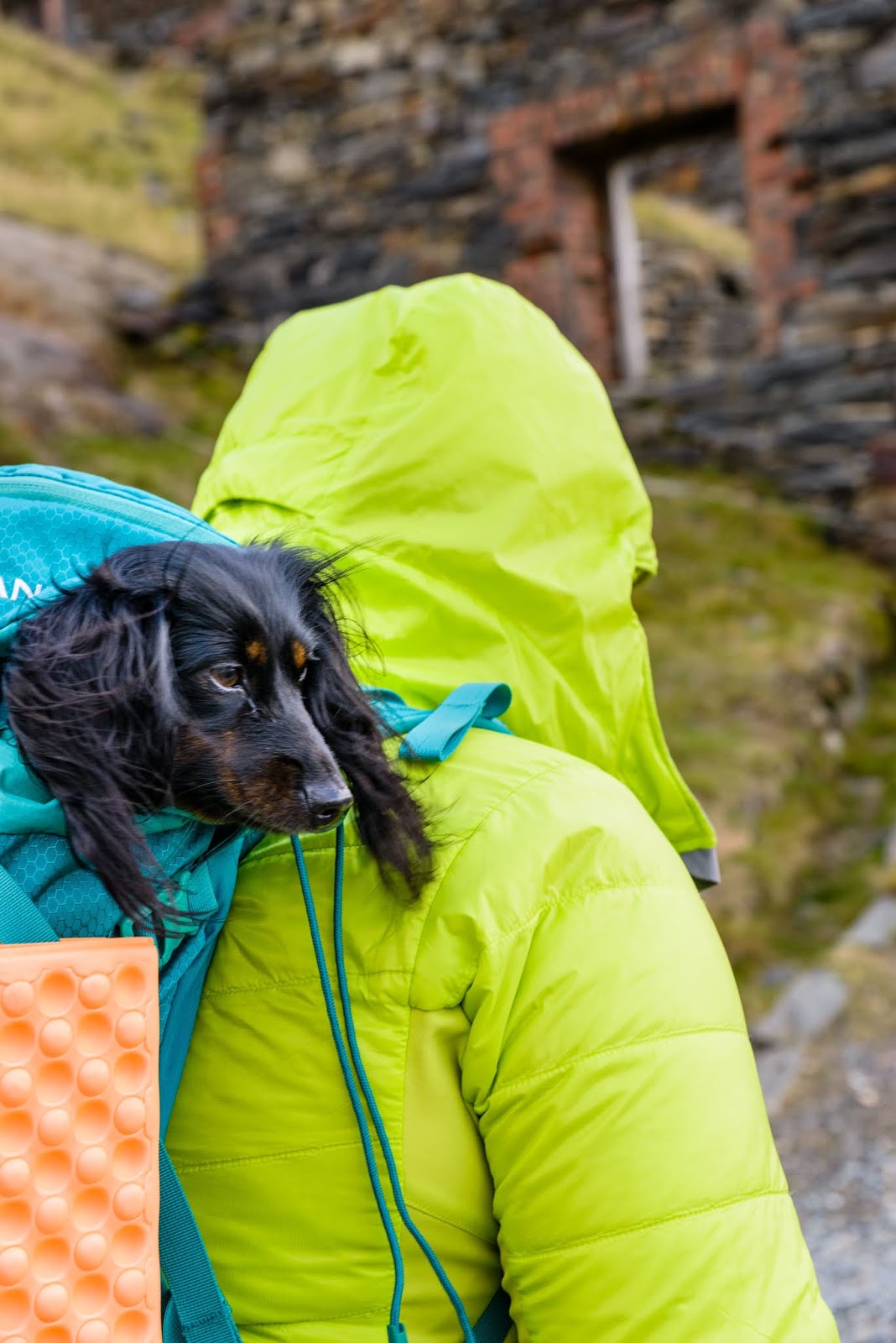 is snowdon miners track dog friendly liquid grain liquidgrain is snowdon miners track dog friendly liquid grain liquidgrain