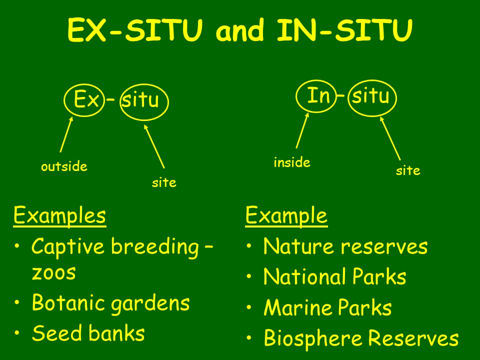 EX- SITU CONSERVATION STRATEGIES