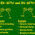 EX- SITU CONSERVATION STRATEGIES