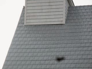 Modern shingles restored to prevent further rusting