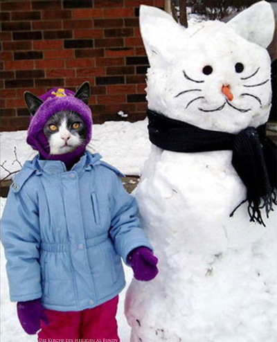 Witzige Schneemann Idee - Schneekatze Spaßbilder Katzen