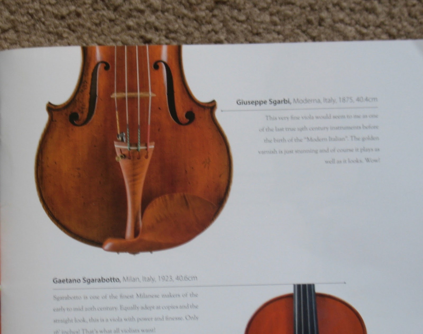 Ken's violin making Guadagnini Viola?