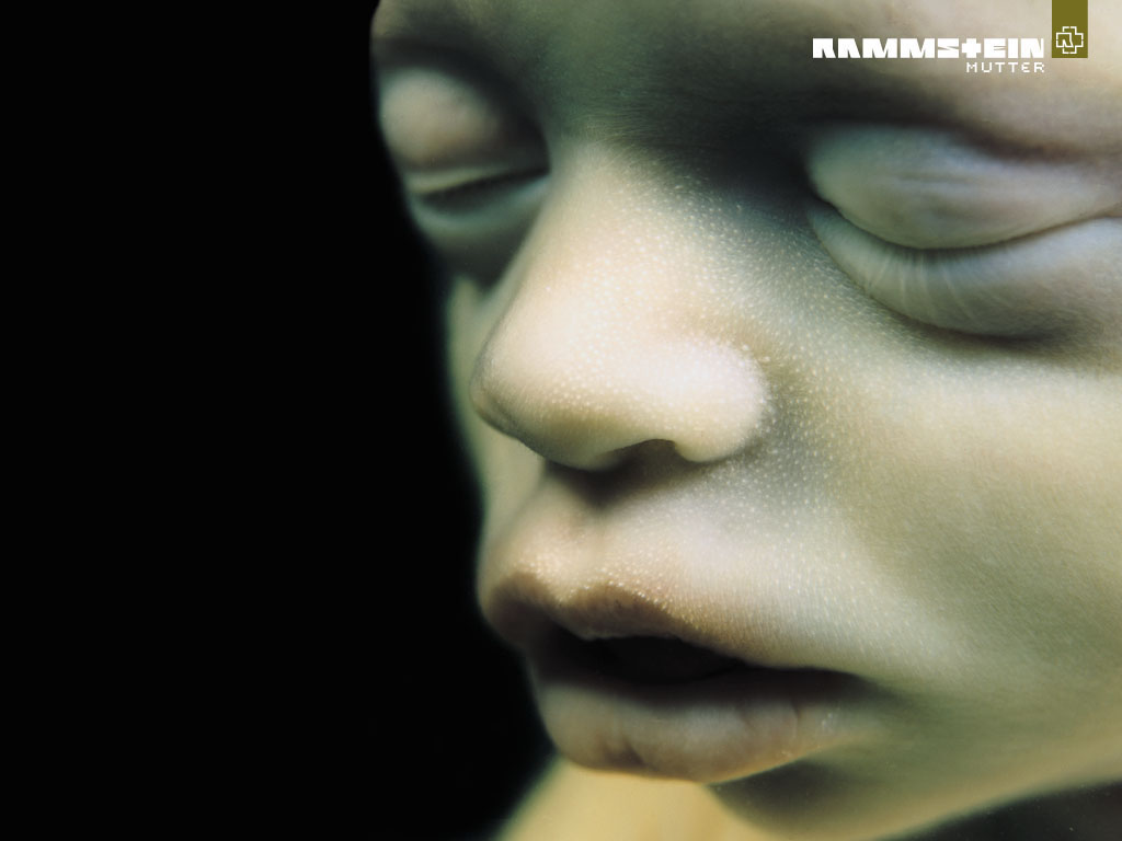 Rammstein|Discográfia Estudio|Mega
