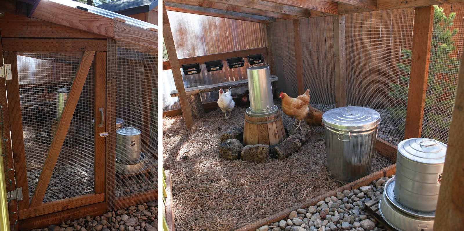 The Poop Hammock - Keeping Your Coop Clean | Community Chickens