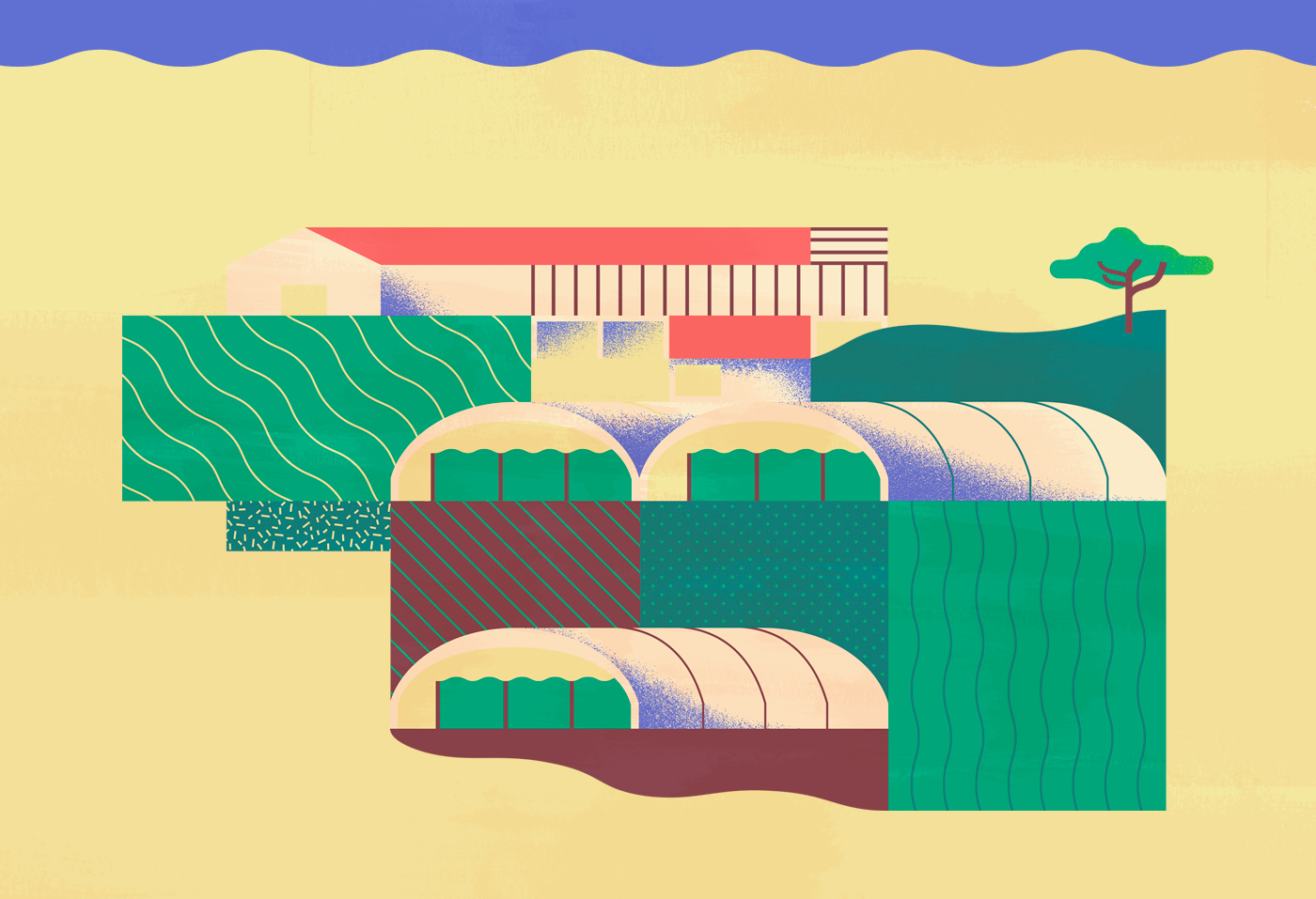 Diedrica