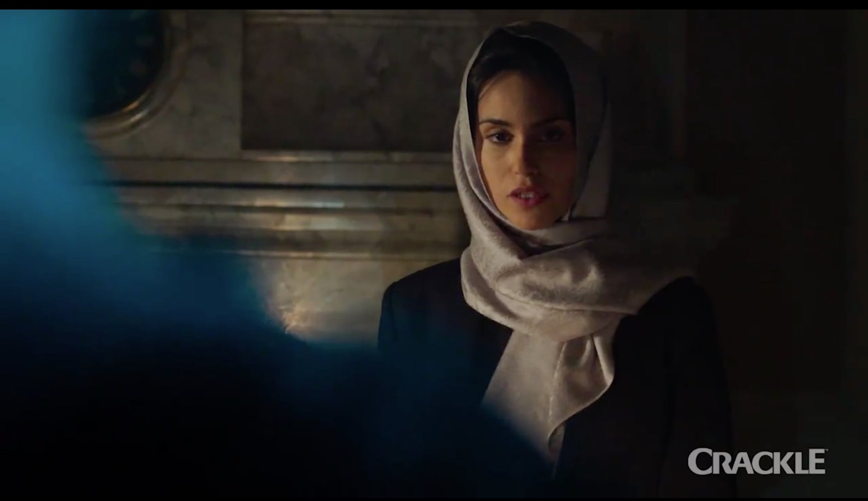 Shiva Negar movies list and roles (Heartland Season 14, Murdoch