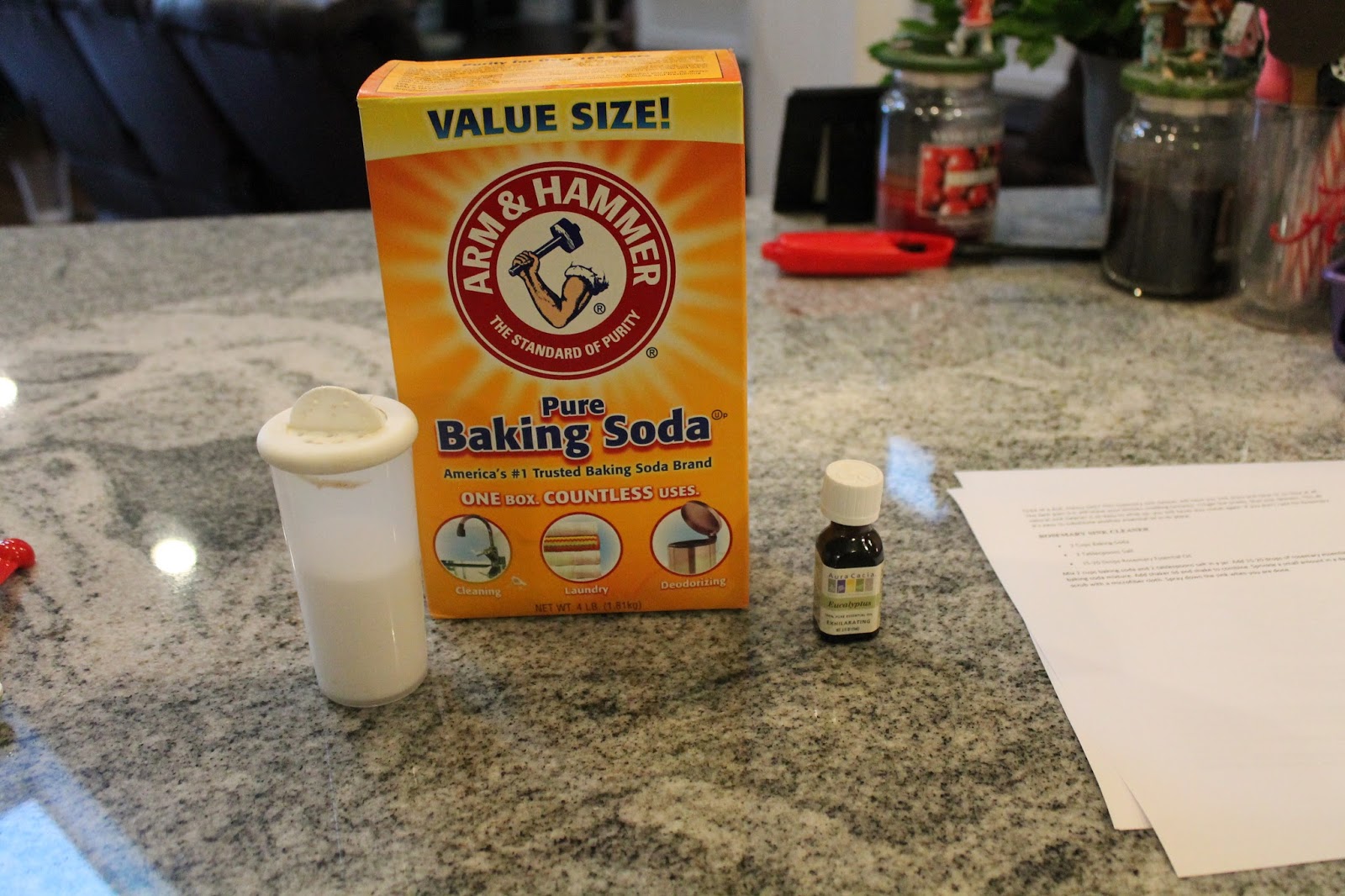 Dinner with the Grobmyers Homemade Kitchen Sink Cleaner