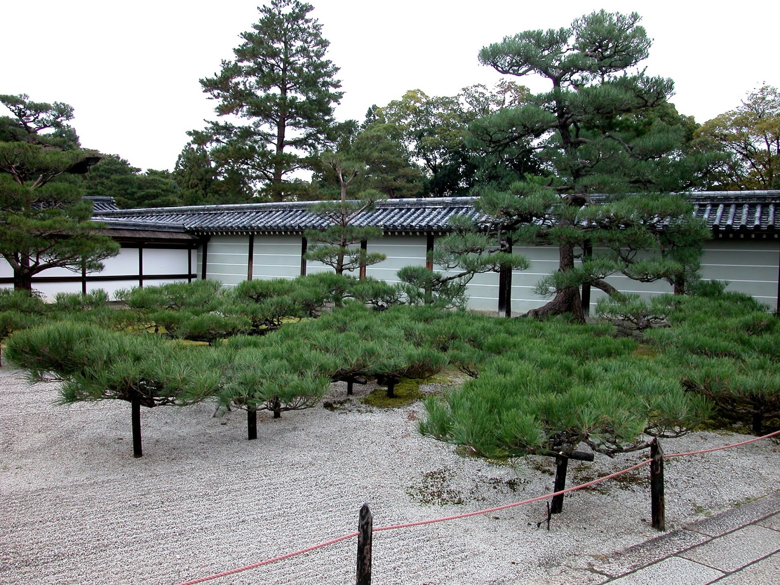 Robert Ketchell's blog Pines in the Japanese Garden