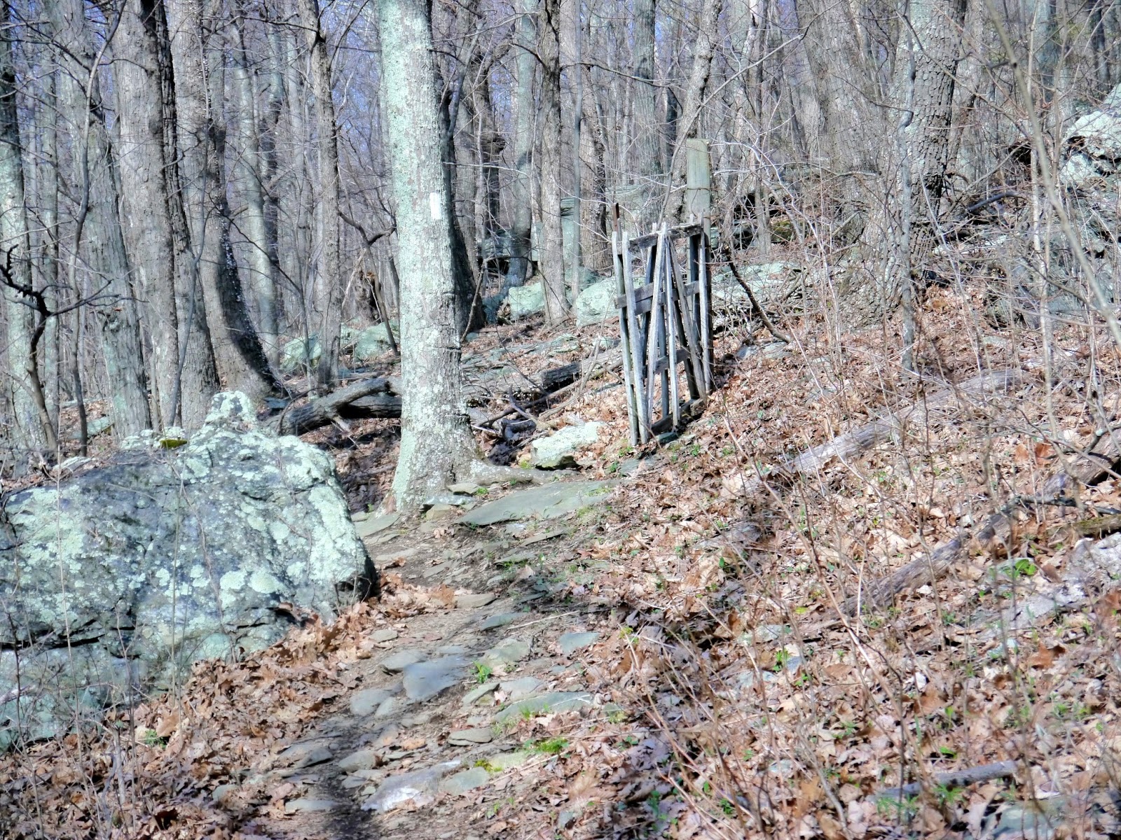 American Travel Journal Rockfish Gap to McCormick Gap Appalachian