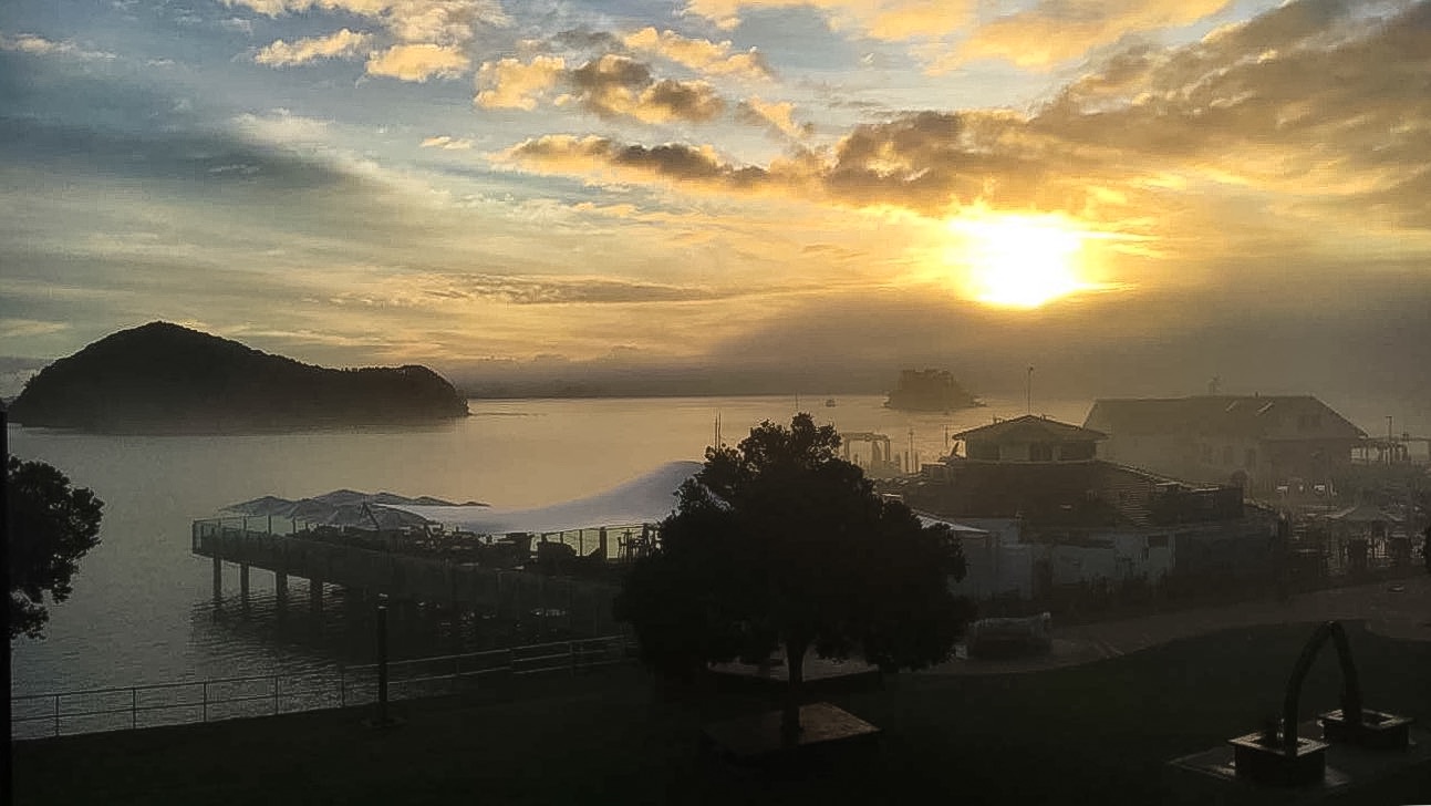 National Expedition & Internships: Disaster Risk & Emergency Management