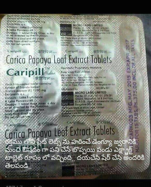 TELUGU WEB WORLD DENGUE FEVER REMEDY TABLETS CARICA PAPAYA LEAF