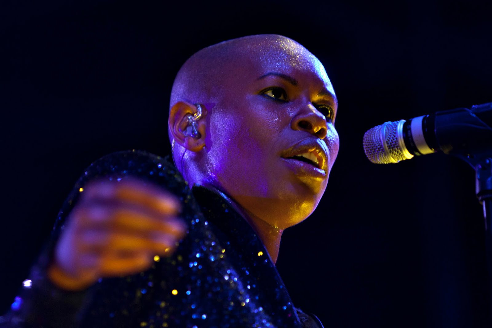 My dirty music corner: SKUNK ANANSIE