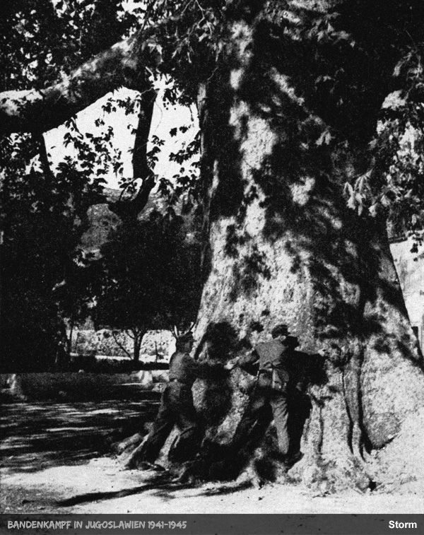 bandenkampf in jugoslawien 1941 1945
