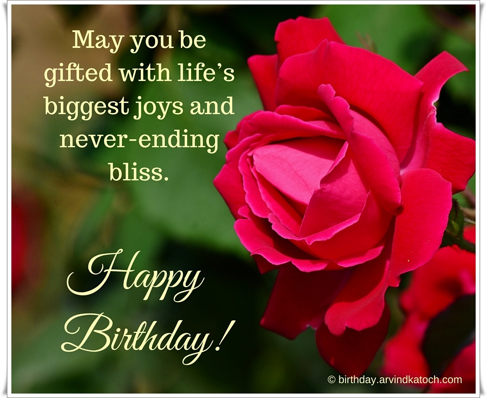 Beautiful Red Rose Birthday Card (May you be gifted with life's ...